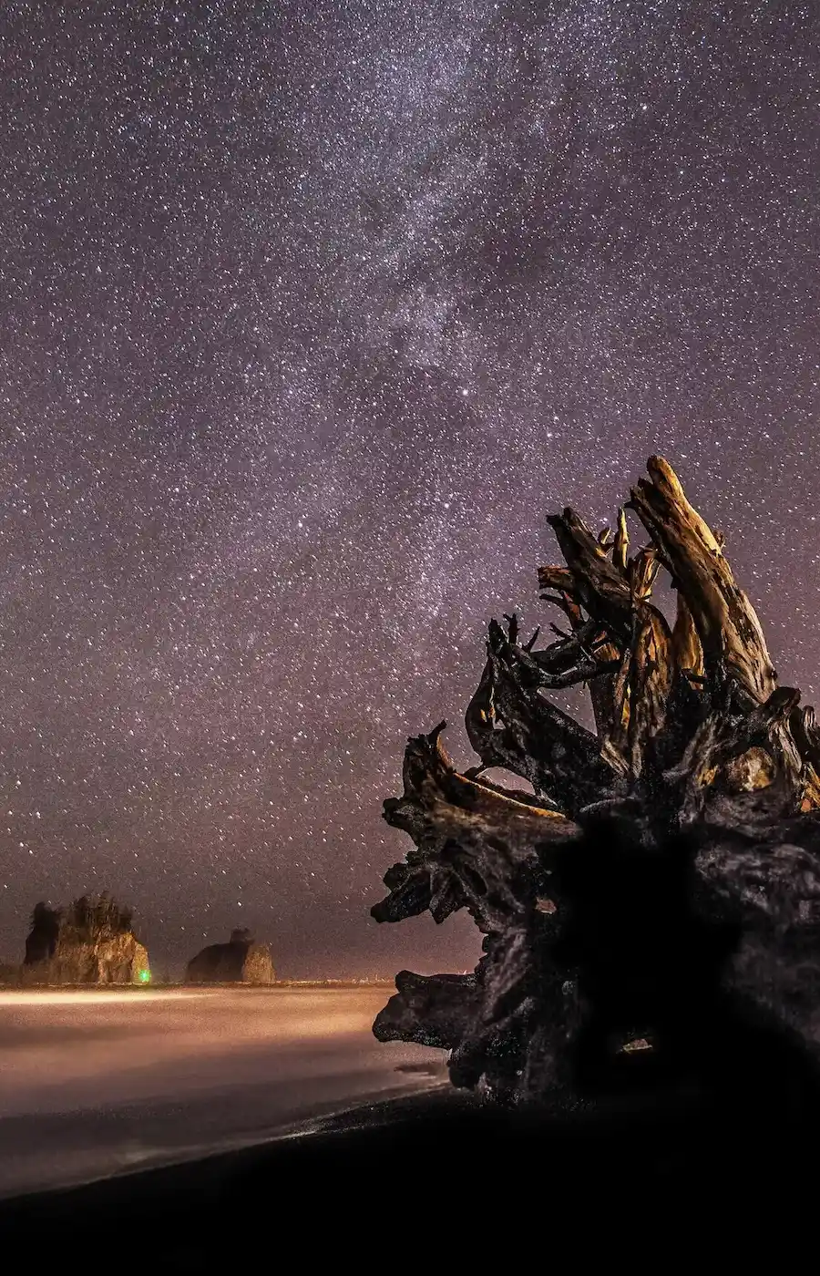 Starry night landscape from the Olympic Peninsula in Washington state